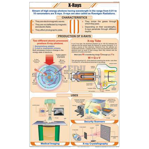 X-Ray Chart